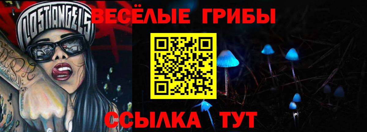 Псилоцибиновые грибы прущие грибы Сланцы